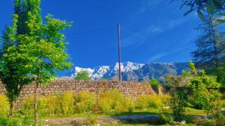 The Nagri Resort - 3