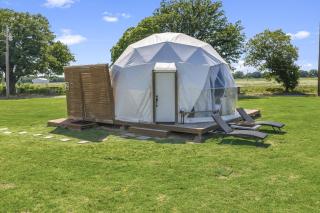 The Birdie Dome | Near WinStar Casino - 4