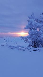 Northern Dream Cabin - Levi Ski & Golf - 1