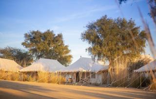 MANVĀR SEVAN, THE DESERT CAMP - 8