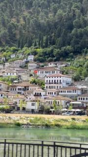 Casa delle ortensie - 7