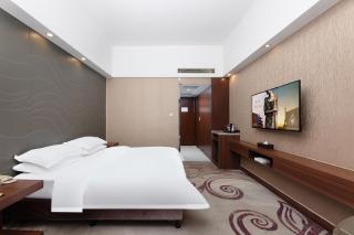 Metropolo Hotel Zhenjia Wanda Plaza Railway Station - 9