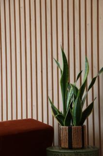 Sunny apartment close to the sea, Private parking - 5