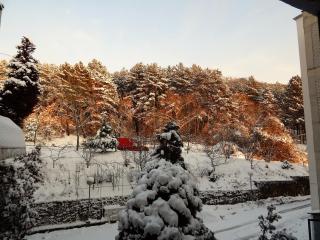 Paskali Apartment Ohrid - Ohrid - 6