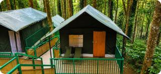 A4 resort & Homestay - 6