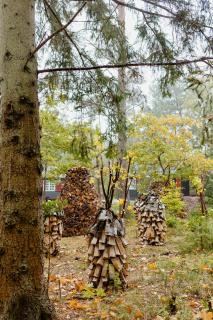 Simple Living For A Time In Asserbo Plantation - 4