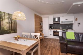 Apartment Ahorn im Schwarzwald - 0