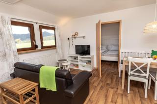 Apartment Ahorn im Schwarzwald - 9
