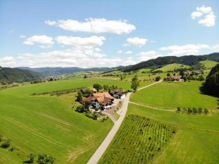 Apartment Ahorn im Schwarzwald - 2