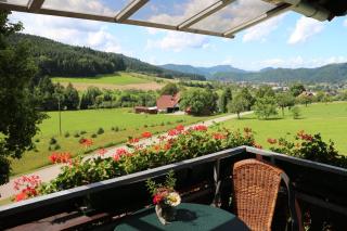 Apartment Ahorn im Schwarzwald - 5