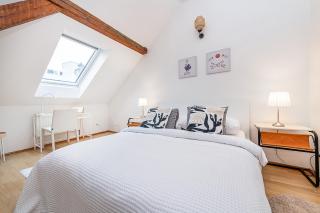 Air-conditioned 2-bedroom attic loft with terrace - 8