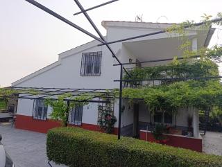 La casa de mi abuela - 9