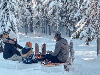 Creekside Log Cabin & Sauna, 20 min to Rovaniemi - 5