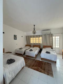 Antika Hotel - 3