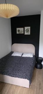 Apartament z ogrodem Cyprysowy zakątek - 3