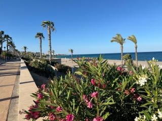 Panoramic Atalaya - 9