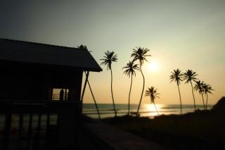 The Seascape - Matara - 7