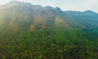 DoonDiariesHomestay - 1
