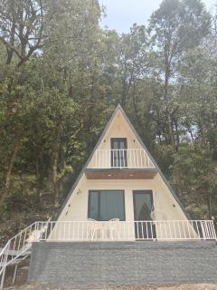 The peak & pine by lake & woods - 1
