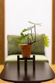 Leafy Home Hue - 1