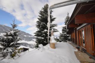 Chalet Edelweiss - Weerberg - 4