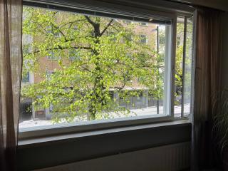 Cozy 2 br in the heart of the city - 7