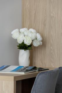 Comfortable Studios with a Desk in the Center of Katowice Near Spodek by Noclegi Renters - 1