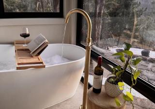 Zenith Tiny Home - 2