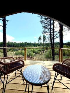 Serene Glamping Retreat with Apple Orchards and Farm Animals near Quarai Ruins in Torreon, New Mexico - 6