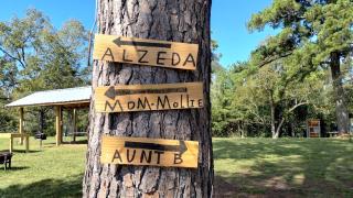 Gorgeous Safari Tent Perfect for an Eco Glamping Getaway in Coldspring, Texas - 5