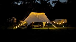 Luxury Highland Cow Glamping in Cozy Covered Wagon with Peaceful Farm Retreat in Melrose, Florida - 5
