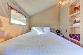 Johnson City Safari Glamping Tent on a Working Winery, Perfect for an Escape for Wine Lovers - 6