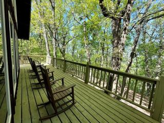 Peaceful Luxury Cabin with Floor-to-Ceiling Glass Views & Historic Gas Log Near Cloudland Canyon, Mentone, Alabama - 4