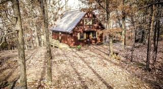 Peaceful Luxury Cabin with Floor-to-Ceiling Glass Views & Historic Gas Log Near Cloudland Canyon, Mentone, Alabama - 1