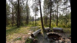 Rustic Cabin Retreat with Private Pond & Hot Tub near Island Park, Idaho - 1