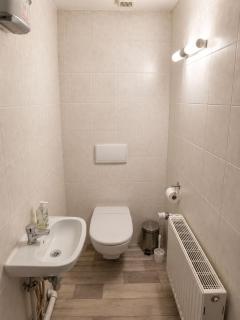 Modern 3BR Apartment in Central Chemnitz for 10 Guests - 1