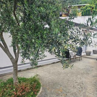 Apartman Stepanović 2 - 4