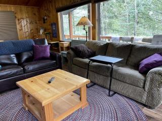 Cozy Secluded Cabin Surrounded by Trees near Yellowstone, Idaho - 1