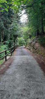Natural Lodge Maso Baseta - 9