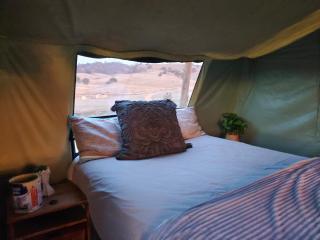 Pitched at Liberty' - 2