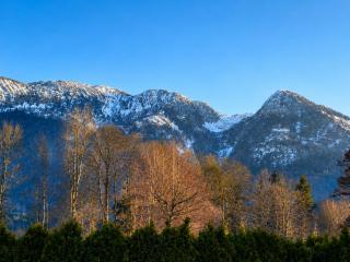 Alpine Studio near Bad Ischl#2 - 1