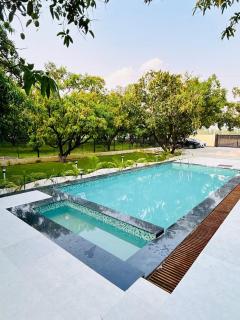 Corbett Sun Shine - 9