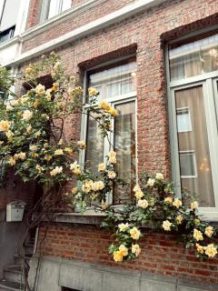 Holiday Home in Antwerp - 9