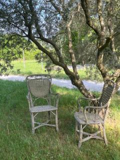 GITE COCOTTE LUBERON, FORCALQUIER - 8
