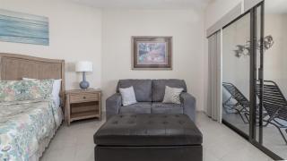 Sonoran Sea - 8