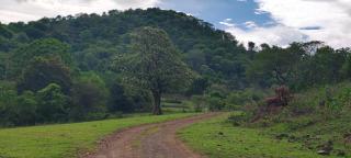 Dreamescape hillview homestay - 4