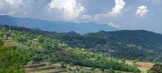 Dreamescape hillview homestay - 5