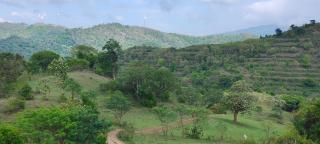 Dreamescape hillview homestay - 3