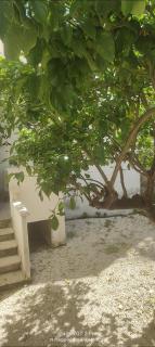 WHOLE HOLIDAY HOME APARTMENT LOVELY CIVITAVECCHIA da PAMINO & PRISCILLA - 8