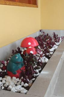 Casariadri 100 meters from the beach, pool, 6 suites - 5